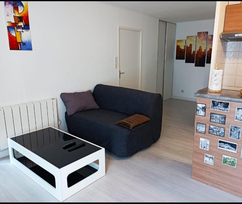 Ravissant Appartement T2 Proche Autoroute Et Centre-Ville Villefranche-sur-Saône Eksteriør bilde